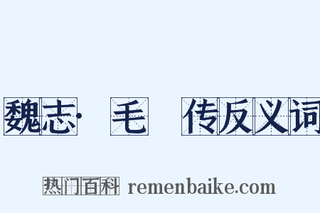 魏志·毛传反义词是什么意思的图片